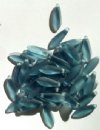 50 5x16mm Matte Transparent Montana Blue Dagger Beads